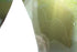 Birdsticker‐Set Dr. Kolbe - 5 läpinäkyvää uv-tarraa